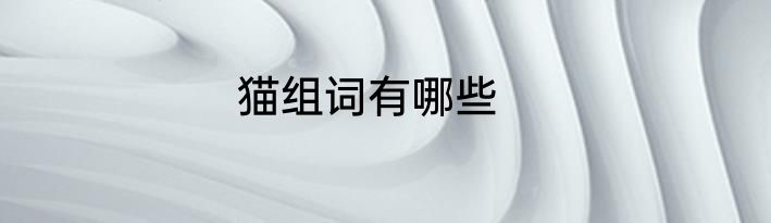 猫组词有哪些