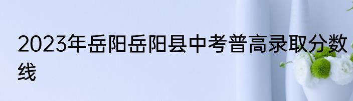 2023年岳阳岳阳县中考普高录取分数线