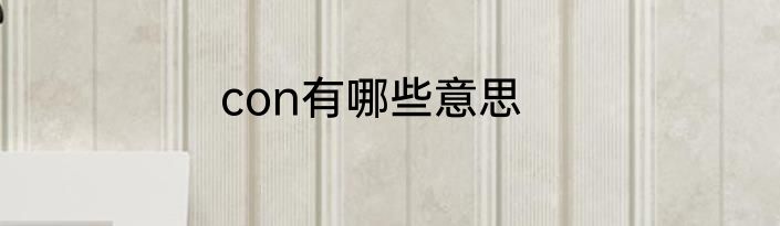 con有哪些意思