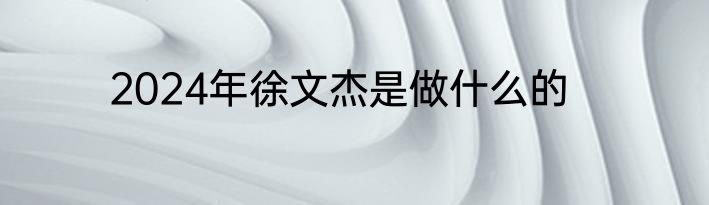 2024年徐文杰是做什么的