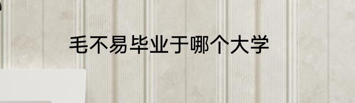 毛不易毕业于哪个大学