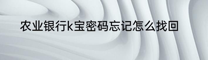 农业银行k宝密码忘记怎么找回