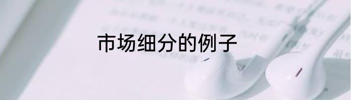 市场细分的例子