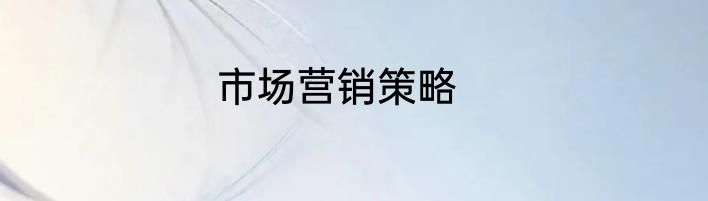 市场营销策略