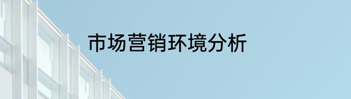 市场营销环境分析