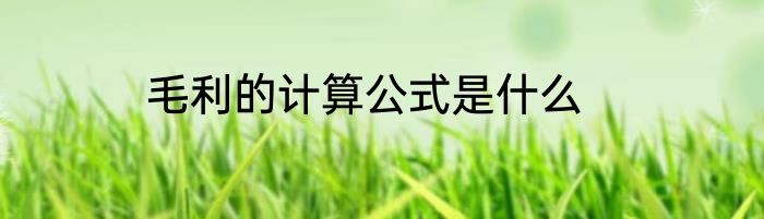 毛利的计算公式是什么