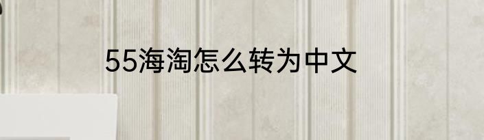 55海淘怎么转为中文