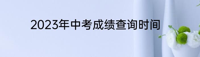 2023年中考成绩查询时间