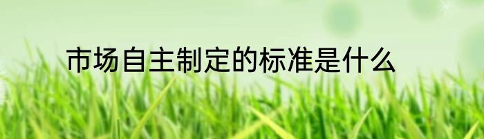 市场自主制定的标准是什么