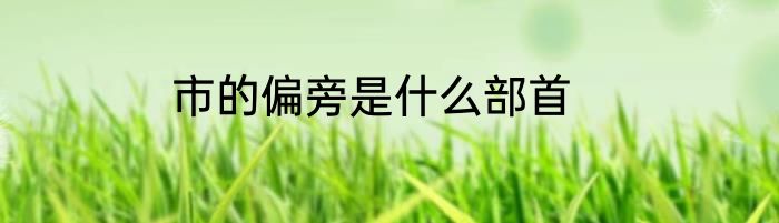市的偏旁是什么部首