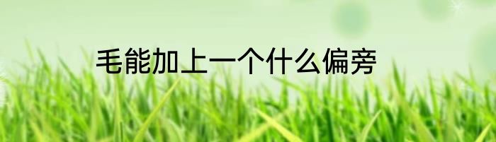 毛能加上一个什么偏旁