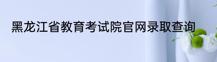 黑龙江省教育考试院官网录取查询
