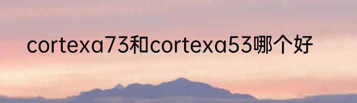 cortexa73和cortexa53哪个好