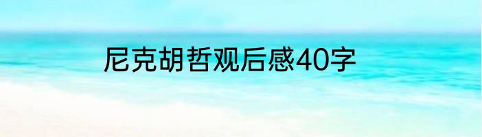尼克胡哲观后感40字