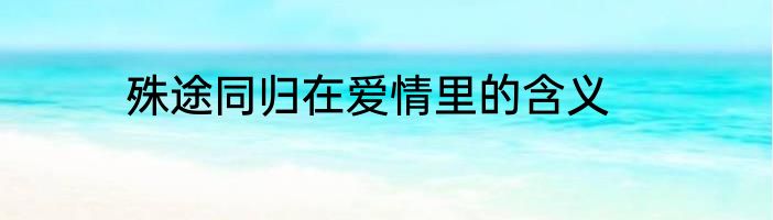 殊途同归在爱情里的含义