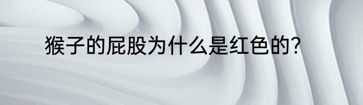 猴子的屁股为什么是红色的?