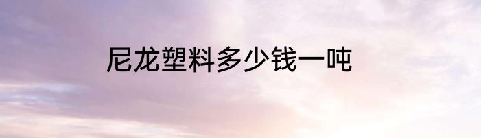 尼龙塑料多少钱一吨