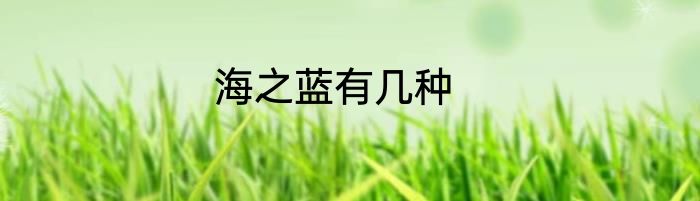 海之蓝有几种