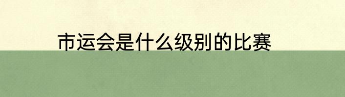 市运会是什么级别的比赛