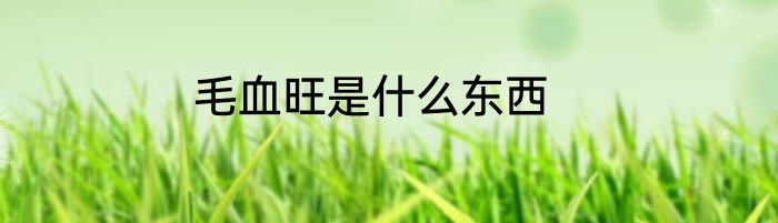 毛血旺是什么东西