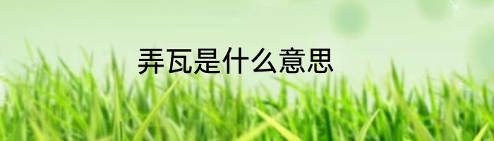 弄瓦是什么意思