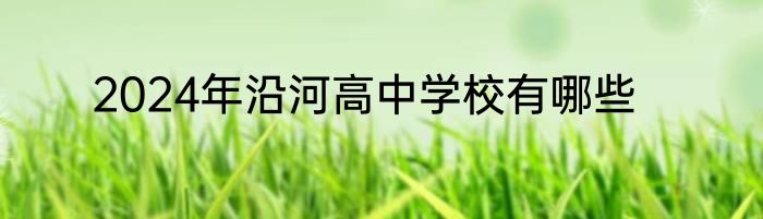 2024年沿河高中学校有哪些
