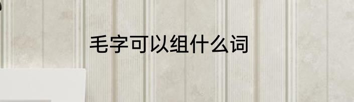 毛字可以组什么词