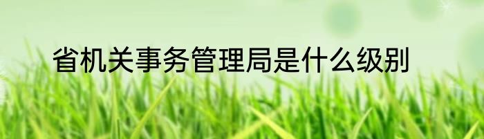 省机关事务管理局是什么级别