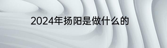 2024年扬阳是做什么的
