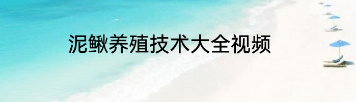 泥鳅养殖技术大全视频