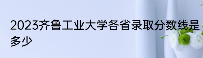 2023齐鲁工业大学各省录取分数线是多少