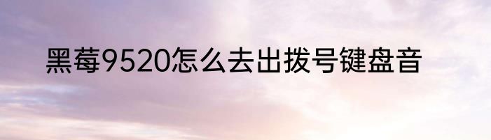 黑莓9520怎么去出拨号键盘音