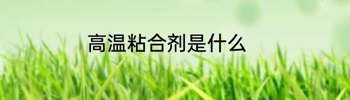 高温粘合剂是什么