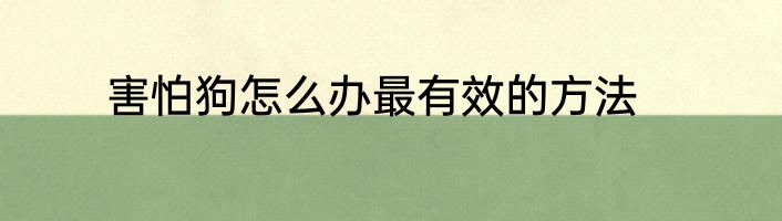 害怕狗怎么办最有效的方法