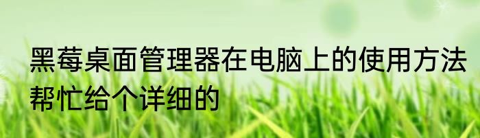 黑莓桌面管理器在电脑上的使用方法帮忙给个详细的