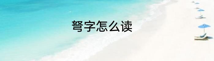 弩字怎么读