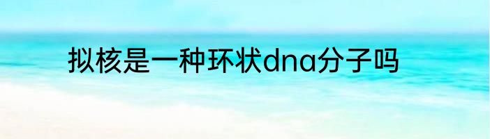 拟核是一种环状dna分子吗