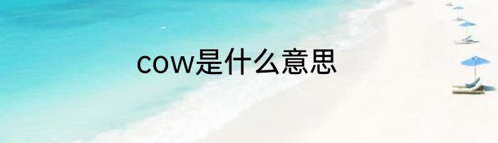 cow是什么意思