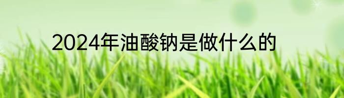 2024年油酸钠是做什么的