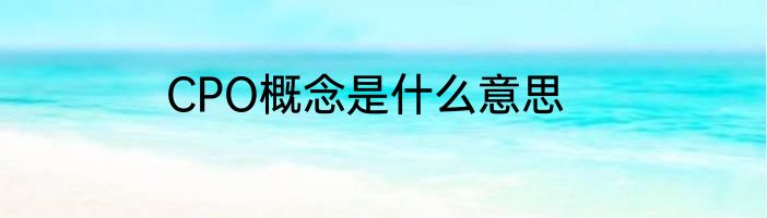 CPO概念是什么意思