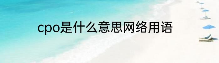 cpo是什么意思网络用语