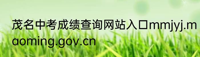 茂名中考成绩查询网站入口mmjyj.maoming.gov.cn