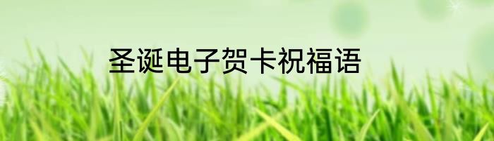 圣诞电子贺卡祝福语