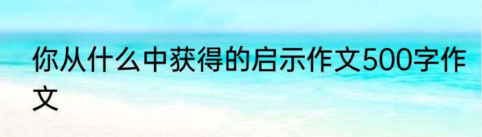 你从什么中获得的启示作文500字作文