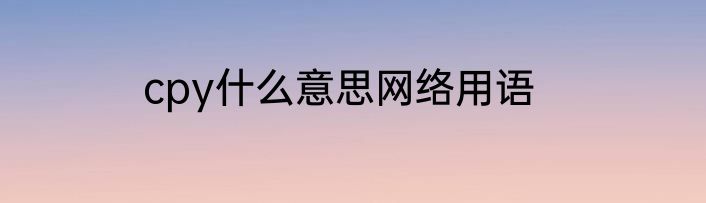 cpy什么意思网络用语