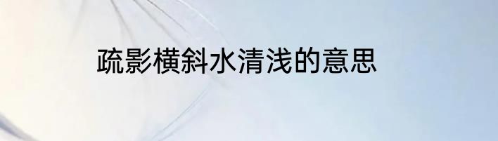 疏影横斜水清浅的意思