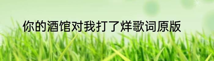 你的酒馆对我打了烊歌词原版
