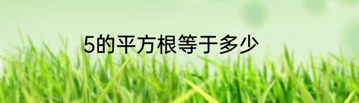 5的平方根等于多少