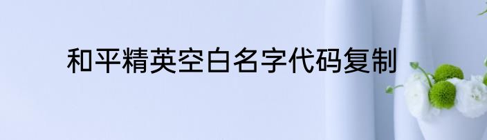 和平精英空白名字代码复制