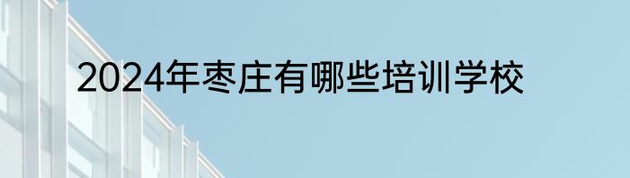 2024年枣庄有哪些培训学校